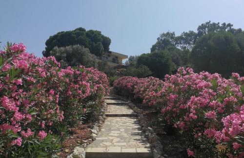 Foca Haus | Teras Motel