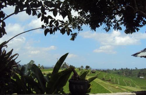 Penebel Haus | Teras Subak Jatiluwih
