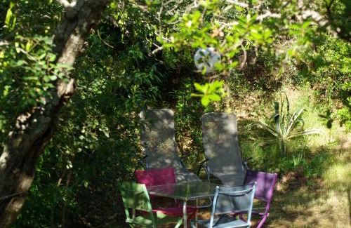 Santo Estevao Haus | Terra das Delicias