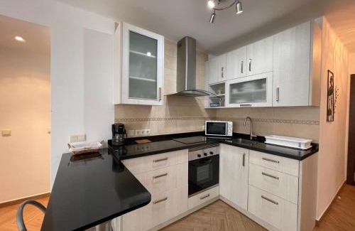 Torre del Mar Wohnung | Terrasol Paseo Larios San Francisco