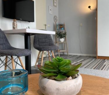 De Koog Wohnung | Texelheerlijk 10