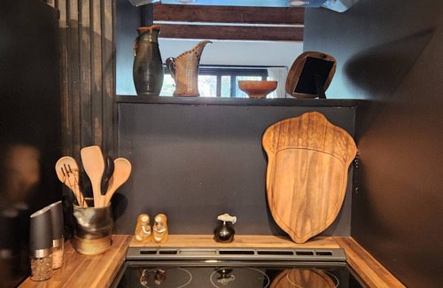 Bayfield Kabine | The Acorn of Little Sand Bay Secluded, Wooded, and Dog Friendly!