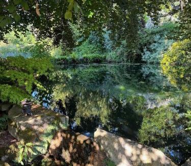 Butleigh Haus | The Annexe at Fishponds