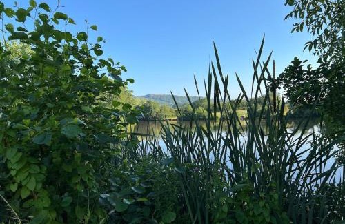 Moreton Haus | The Bakehouse