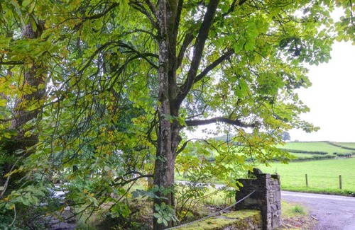 Llanwrtyd Wells Haus | The Bakery ist ein rustikales altes Steinhäuschen, einfach eingerichtet, aber mit modernen Annehmlichkeiten ausgestattet