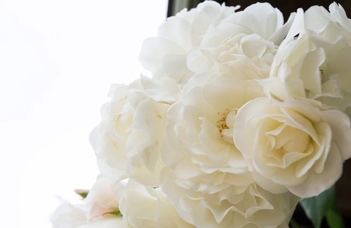 Westbury-on-Severn Villa | The Bell and Flamingo