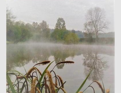 Fordingbridge Skihütte | The Birches Log Cabin & Hot Tub