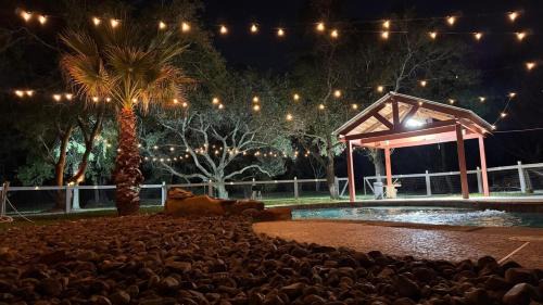 Pearland Haus | The Blue Oasis - Palm & Pool Retreat