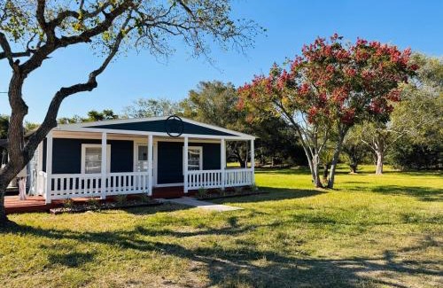 Pearland Haus | The Blue Oasis - Palm & Pool Retreat