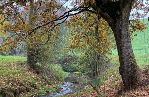 Rock Sonstige | the cabin@ abberley glamping