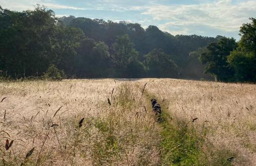 Rock Sonstige | the cabin@ abberley glamping