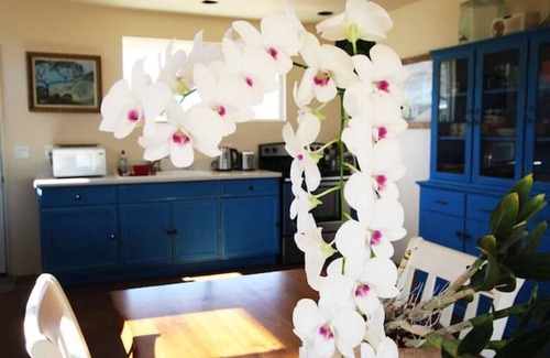 Joshua Tree Haus | 5 Minuten von Joshua Tree Village entfernt. 15 Minuten von JTNP.