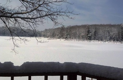 Barryton Kabine | Die Karte Nest Vermietung Hütte am See im Waldgebiet