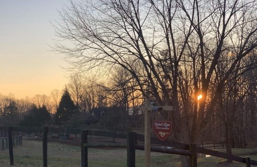 Afton Hütte | The Cottage @ Rebel's Run Afton Mountain