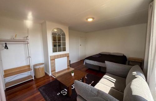 Greenlane - Ellerslie Bed & Breakfast | The Fitz on Mt Wellington