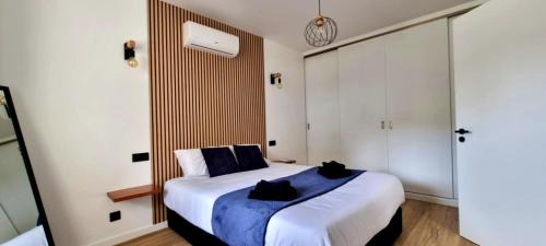 Ribeira Grande Haus | The Frenchie's House