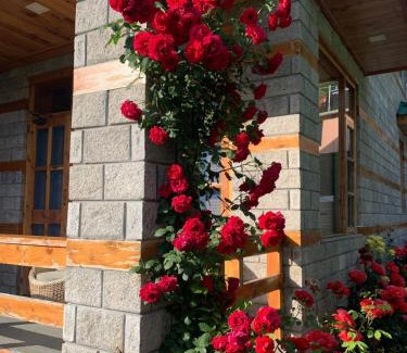 Manali Kabine | The Green Mountain Lodge
