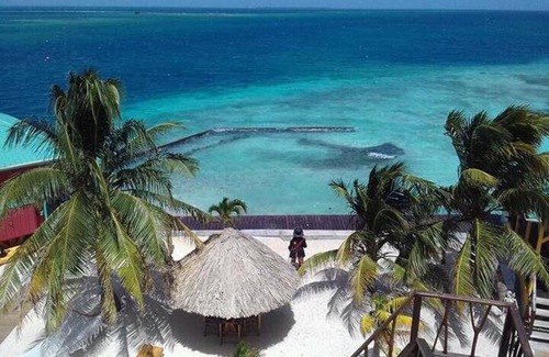 Placencia Kabine | The Green Parrot Fish at King Lewey's Island Resort, Placencia Cayes, Belize