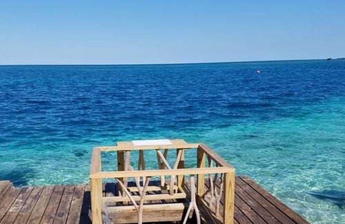 Placencia Kabine | The Green Parrot Fish at King Lewey's Island Resort, Placencia Cayes, Belize