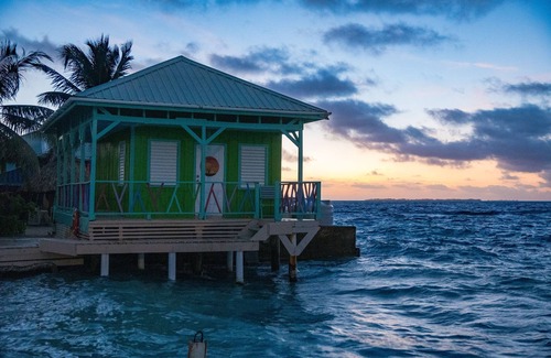 Placencia Kabine | The Green Parrot Fish at King Lewey's Island Resort, Placencia Cayes, Belize
