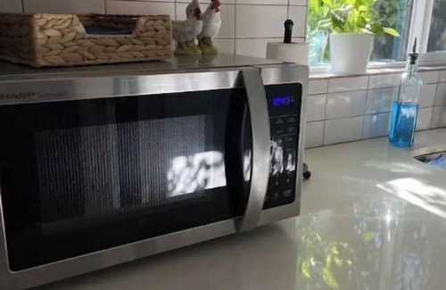 F. Q. Story Haus | The Hen House: Enchanted Casita Near Downtown Phoenix