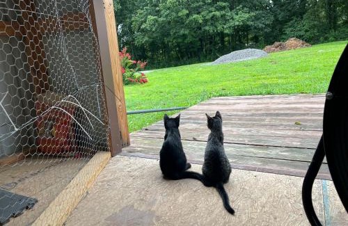 Normandy Haus | The Hidden Nugget