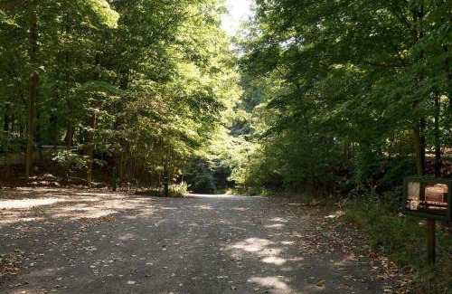 South Haven Haus | The MidMod of The Lake