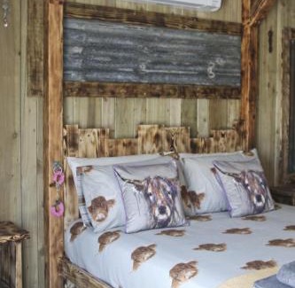 Felinfach Hotel | The Moo-tel at Moody Meadows