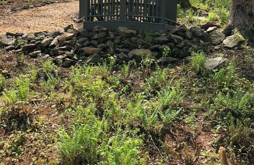 Winston Haus | The Natura Grandeur Retreat on the Dog River