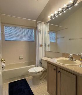 Orange Tree Haus | The Oasis