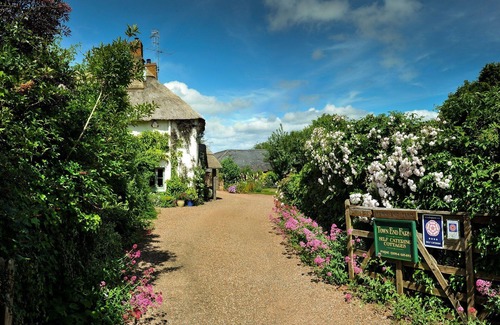 Crowcombe Haus | Die alte Bäckerei (4 Personen. 2 Schlafzimmer)