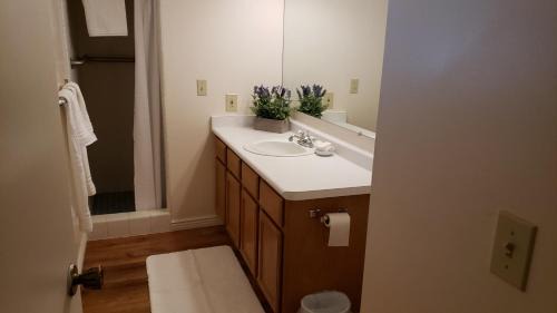 South Jordan Haus | The Orchard