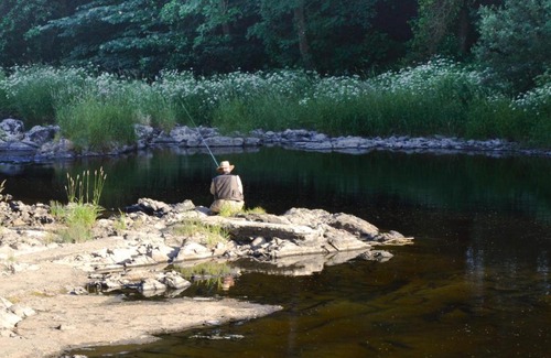 Builth Wells Bed & Breakfast | The Owls