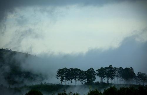 Kodaikanal Haus | The Pear County