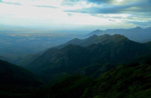 Kodaikanal Haus | The Pear County