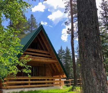Zabljak Haus | The Pine Forest Cottage