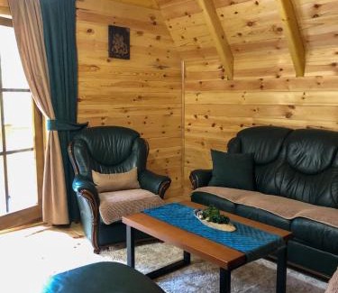 Zabljak Haus | The Pine Forest Cottage