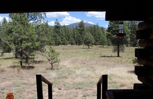 Jemez Springs Kabine | 'The Pines' ist eine gute Log Cabin Getaway In Schönen Jemez Mtns.