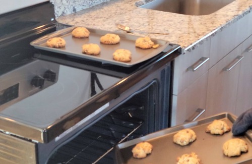 Garden City Haus | Brandneues Oso Blu Resort - Luxuriöse Jurten auf 10 Morgen