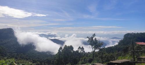 Kodaikanal Haus | The place The experience