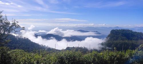 Kodaikanal Haus | The place The experience