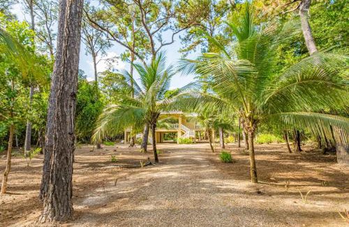 Sanctuary Belize Haus | The Reserve