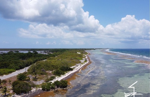 Little Cayman Haus | The ROCK HOUSE with Private Beach on Little Cayman