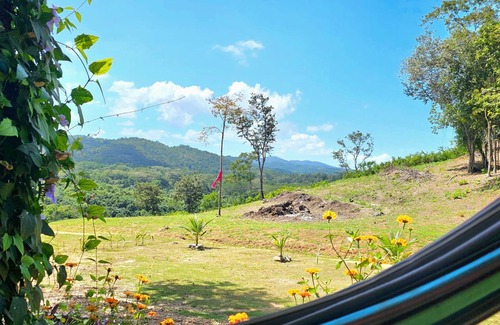 Negroman Haus | THE RUINS-NEW Charming 1-BR house-Onsite Untouched Mayan Ruin-Organic Garden