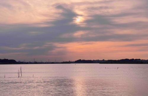 Abiko Haus | The Sealions 海獅a newly built home 2 mins walk from supermarket