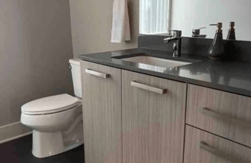 Lansing Wohnung | The Skyline Penthouse : Downtown ( Luxury )