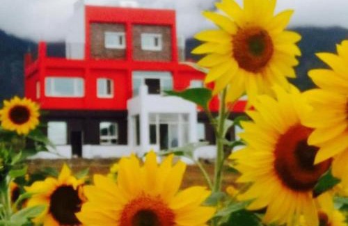 Donghe Haus | The Song of Eagle