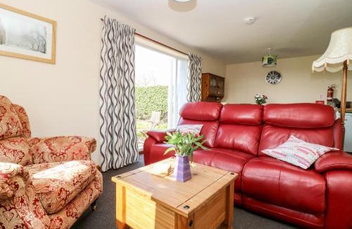 Low Catton Haus | The Studio