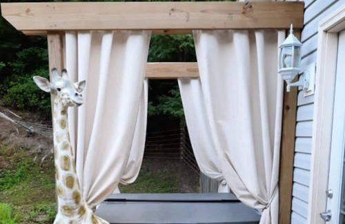Wilkesville Haus | The Suite at Union Ridge Wildlife Center & Sanctuary