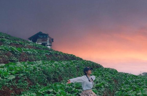 Mae Rim Haus | The sun Sky monjam เดอะซัน สกาย ม่อนแจ่ม